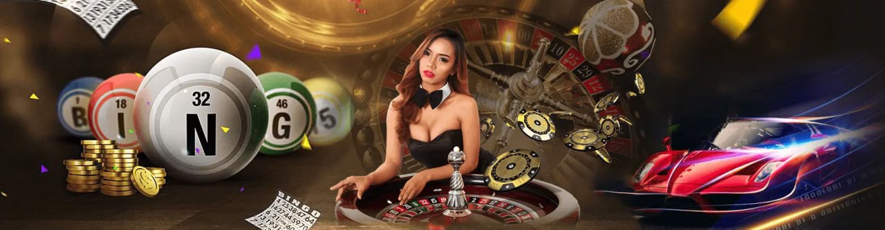 255 bet app