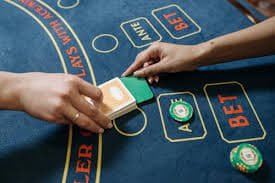 255 bet app