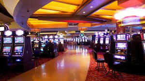 255 bet app